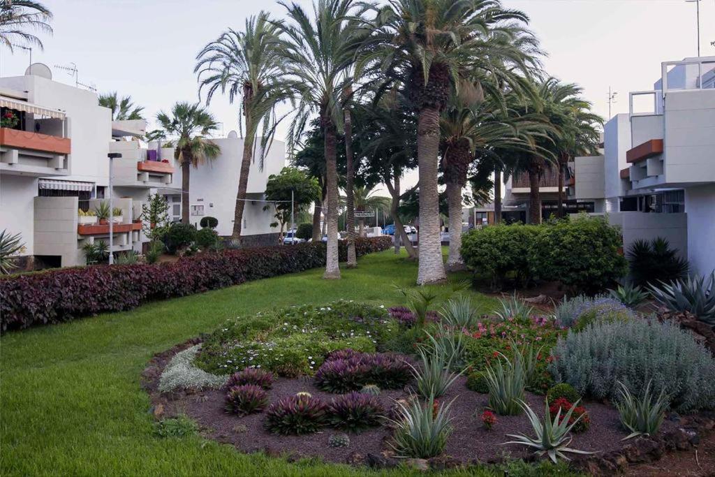 Apartament Frontera-Primavera Daire Costa Del Silencio Dış mekan fotoğraf